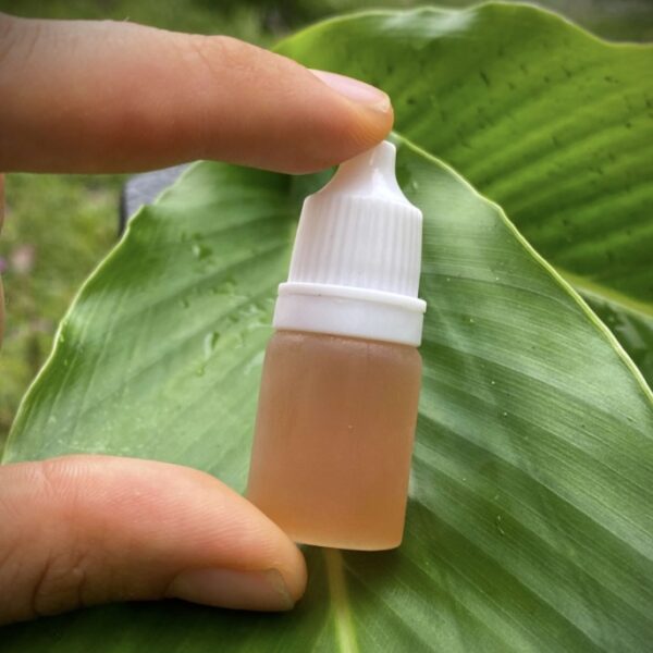 Sananga Eye Drops – Traditional Amazonian medicine for spiritual cleansing, intuition enhancement, and energetic healing.